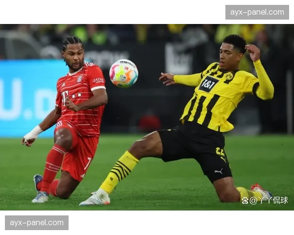 青训报告:拜仁青训营与多特蒙德青训营近年产出球员的技术特点对比